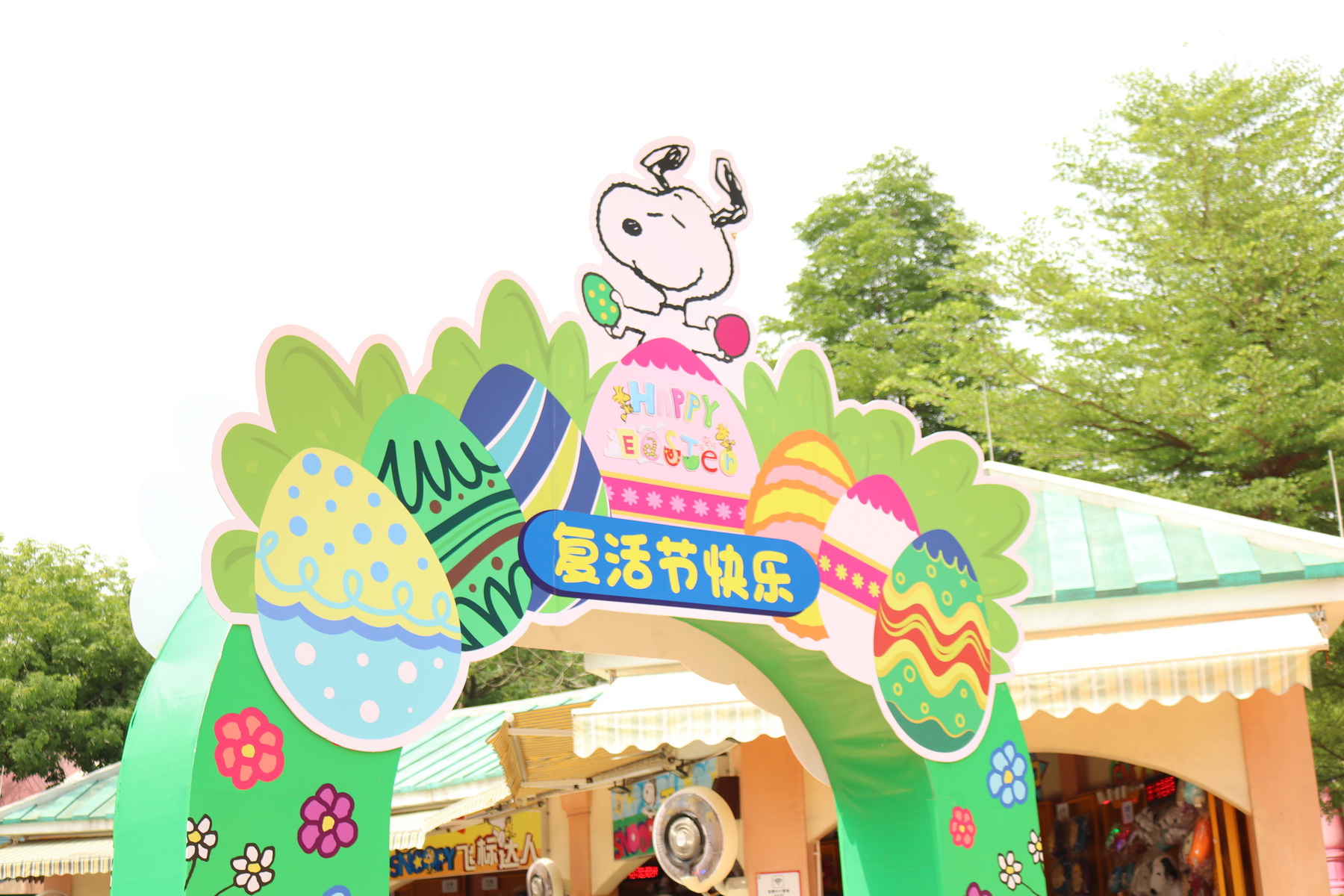 IMG_6217_调整大小.JPG